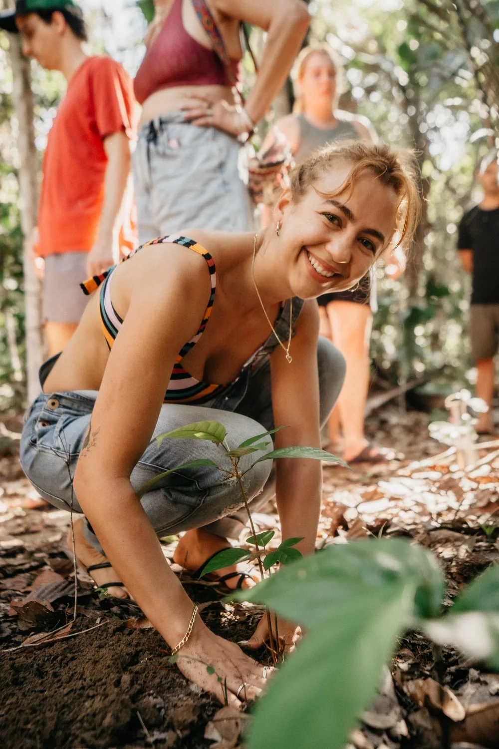 Grupo plantando mudas na floresta