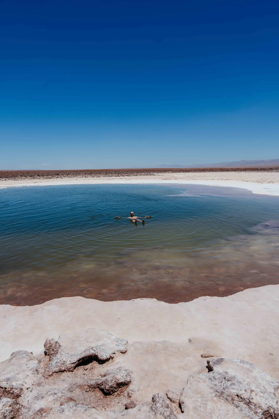 Salar de Atacama e Laguna Chaxa com flamingos selvagens