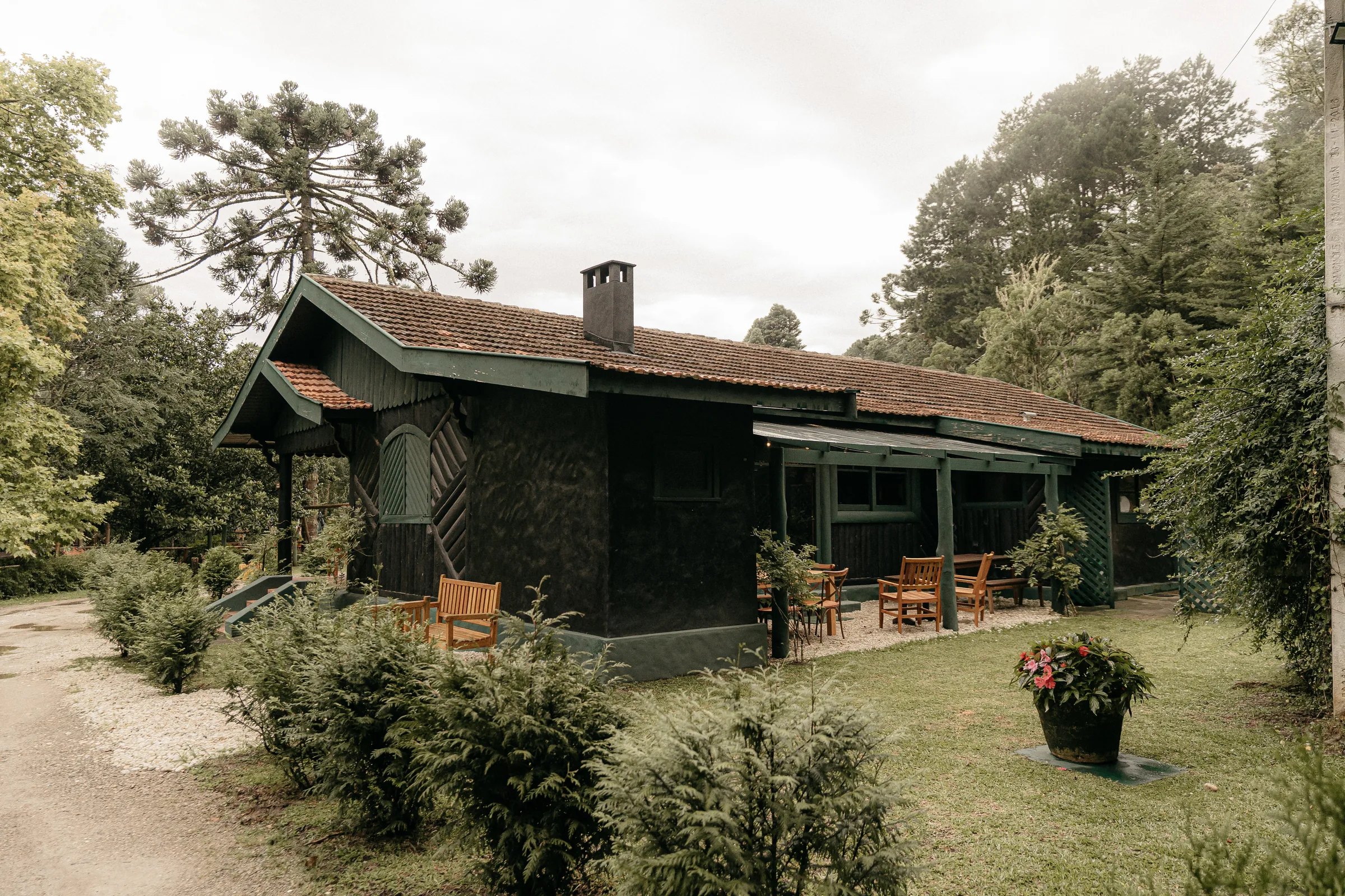 Cabana de madeira entre as araucárias do Horto Florestal