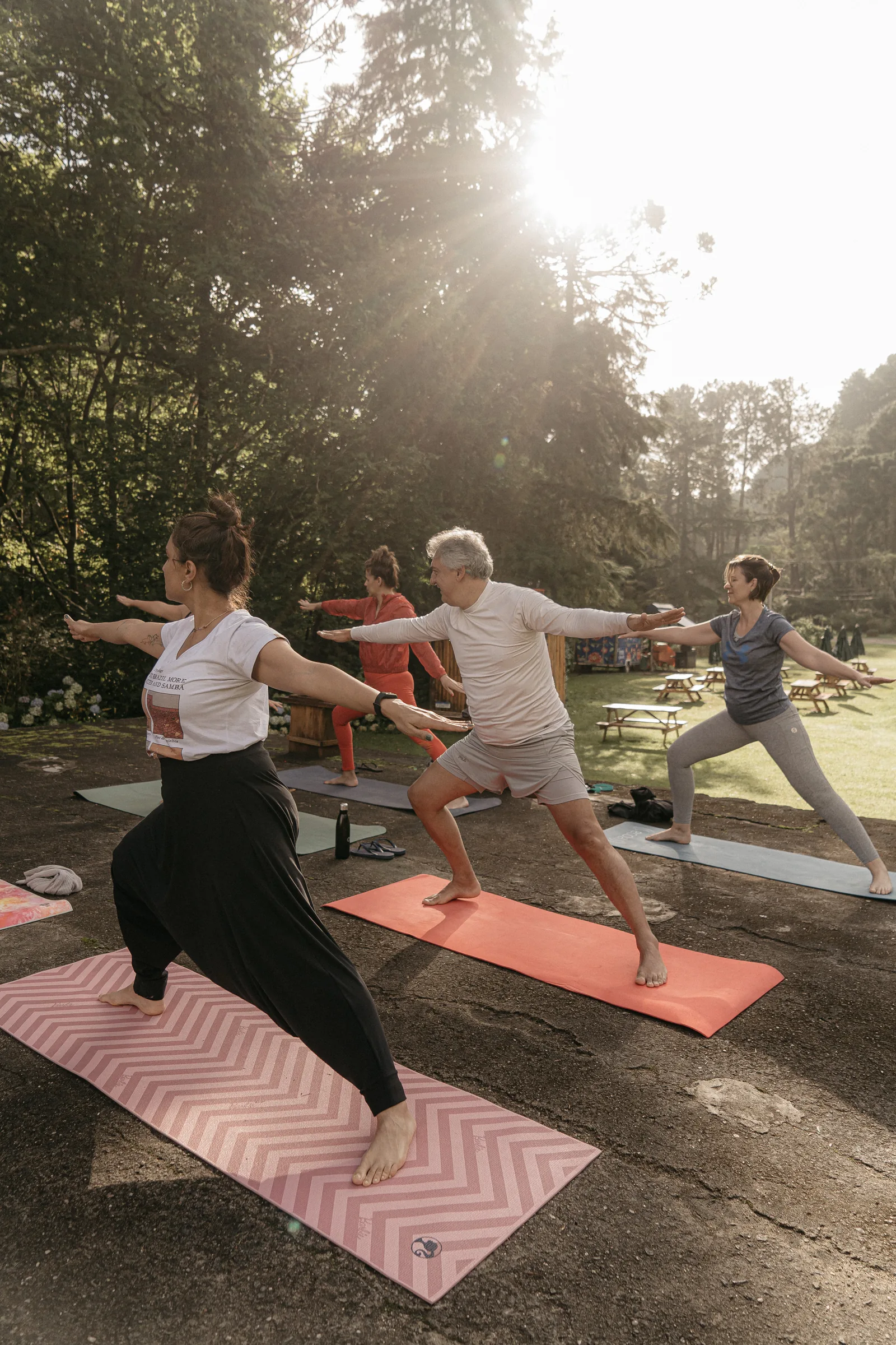 Prática de yoga ao amanhecer, em meio às araucárias