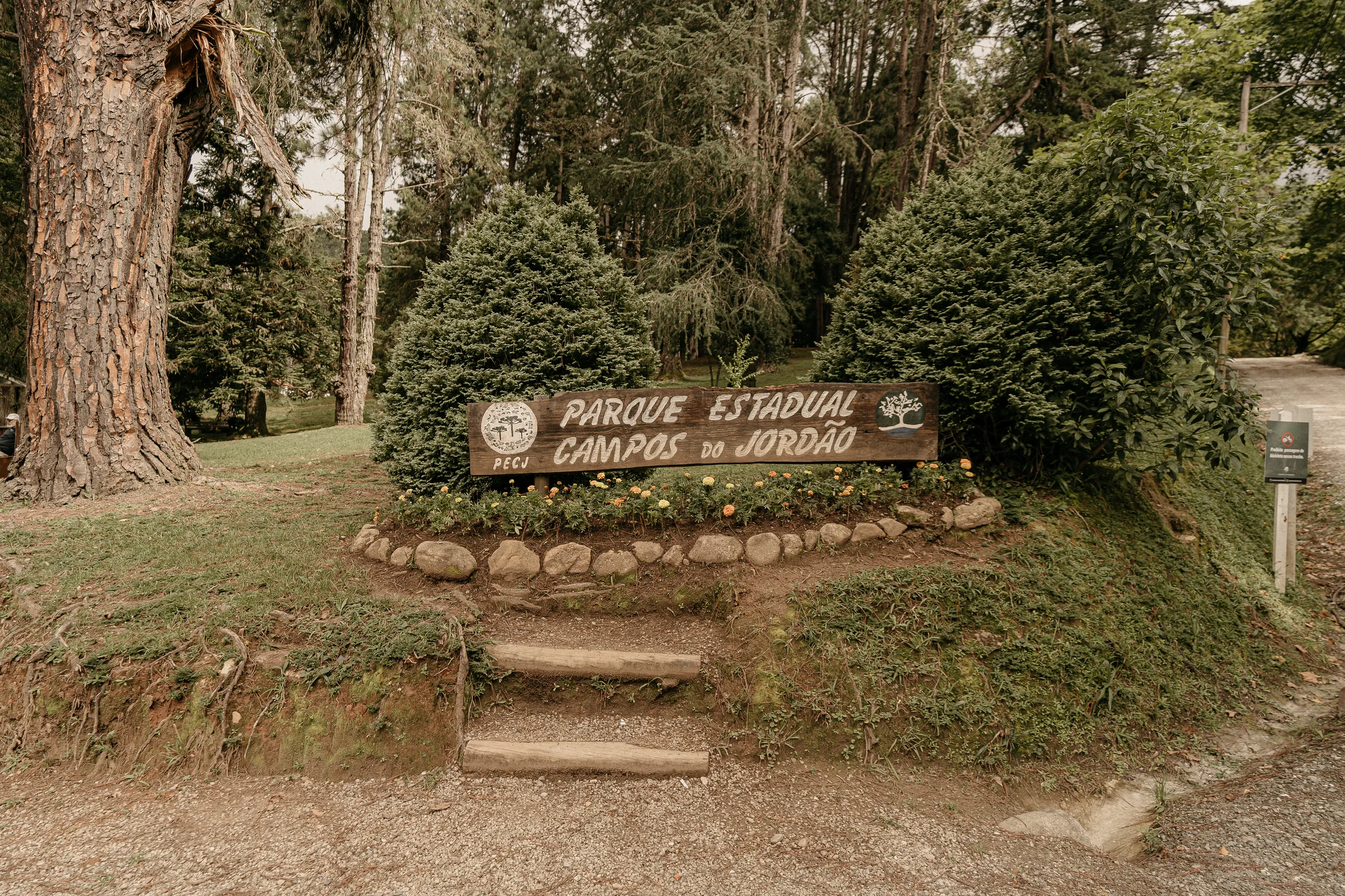 Chegada ao Horto Florestal no primeiro dia do retiro