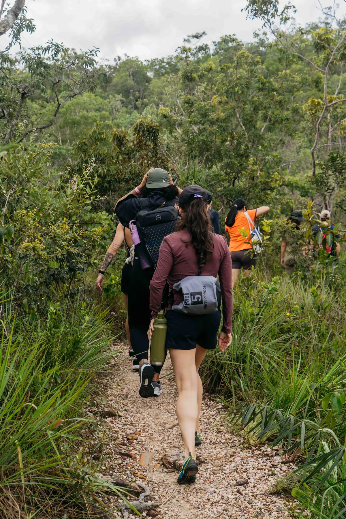 Trilha leve no cerrado da Chapada dos Veadeiros